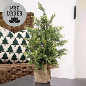 Weeping Cedar Tree w/Burlap Base, 24" SW032503;