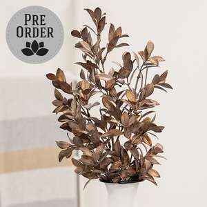 Gleaming Bronze Fittonia Spray, 27" SA112574;