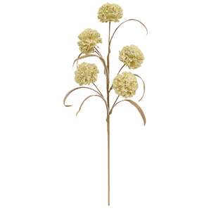 Cream Allium Spray, 24"H SA112580;