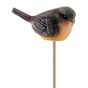 Resin Robin Pick - 4 asst.