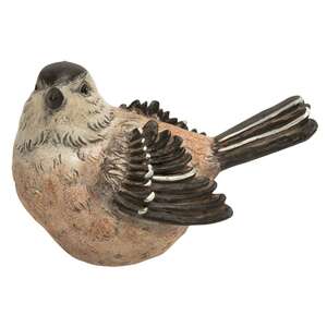 Brown Bird - 2 asst.