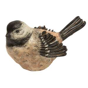 Brown Bird - 2 asst.