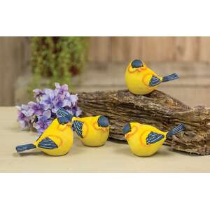 Gold Finch - 4 asst.