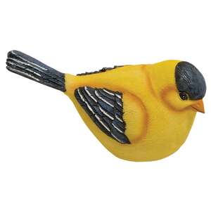 Gold Finch - 4 asst.