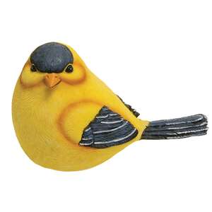 Gold Finch - 4 asst.