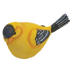 Gold Finch - 4 asst.