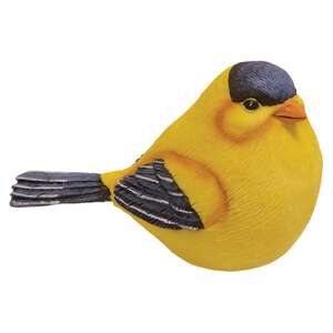 Gold Finch - 4 asst.