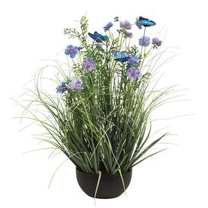 Potted Blue Cosmos w/ Onion Grass & Butterflies 18444;