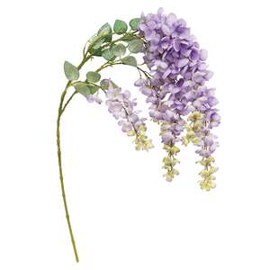 Weeping Purple Plum Branch - 44" 18453;