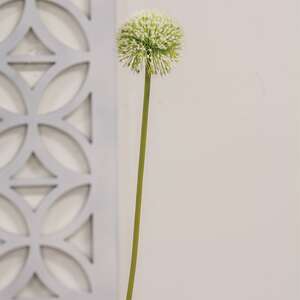 White Allium Ball Spray - 19" 18454;