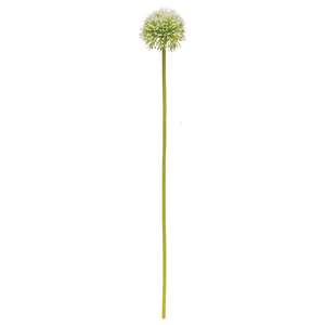 White Allium Ball Spray - 19" 18454;