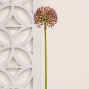 Mauve Allium Ball Spray - 19" 18455;