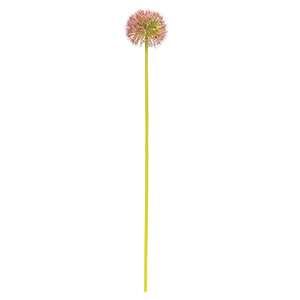 Mauve Allium Ball Spray - 19" 18455;