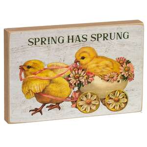 Spring Has Sprung Vintage Chick Block - 2 Asstd.