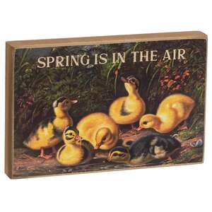 Spring Has Sprung Vintage Chick Block - 2 Asstd.