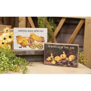 Spring Has Sprung Vintage Chick Block - 2 Asstd.