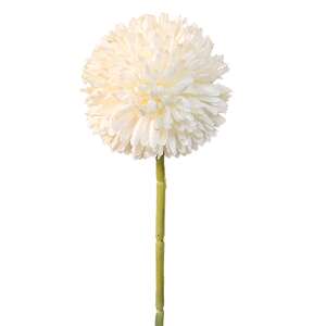 Pompom Stem, White -