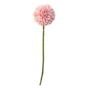 Pompom Stem, Blush -