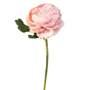 Peony Stem, Blush -