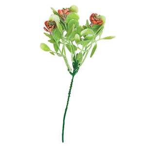 Coral Buds Succulent Bush, 8"