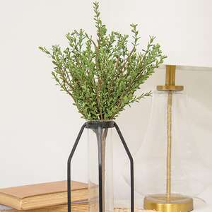 Baby Boxwood Bush, 16"H SA112579;