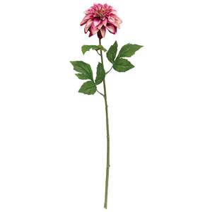 FG07254 Hot Pink Dahlia Stem, 24.5;