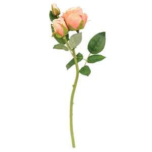 Blooming Peach Roses Pick, 17" HJ092508;