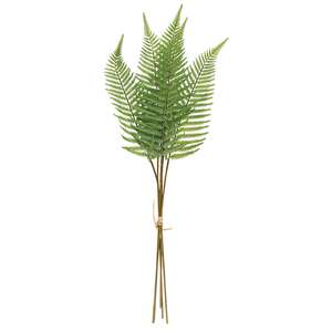 Wispy Fern Bundle, 21" JH102502;