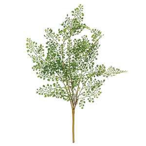 Maidenhair Fern Bush, 21.5" JH102503;