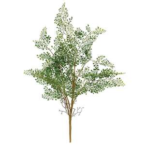 Maidenhair Fern Bush, 27" JH102504;