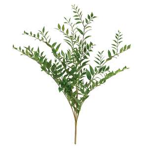 Vibrant Smilax Branch, 30" JH102505;