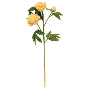 Peach Peony Spray, 30" QE15252;