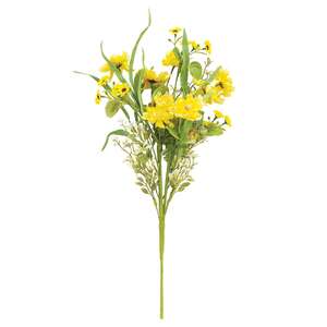 Sunny Chrysanthemum & Daisy Bush, 20" QE152536;