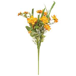 Dawn Chrysanthemum & Daisy Bush, 20" QE152537;