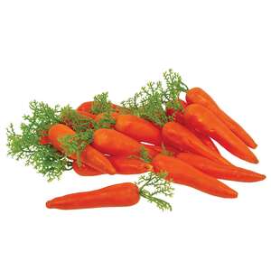 Decorative Foam Carrots in Mesh Bag, 20/Set RJA5531;