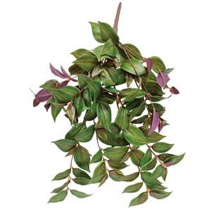Day Flower Hanging Vine Bush, 25" T182504;
