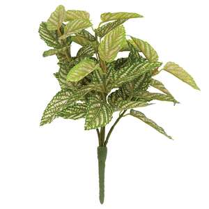 Pink Fittonia Leaves Bush, 13" T182506;