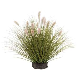 Onion Grass & Bunny Tail Pot Filler 18442;