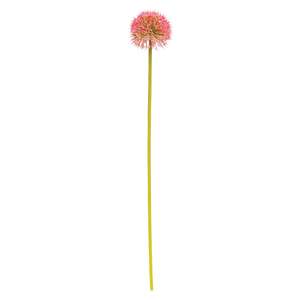 Rose Pink Allium Ball Spray - 19" 18456;