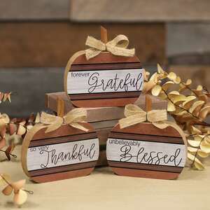 Autumn Blessings Chunky Pumpkin, 3 Asstd.