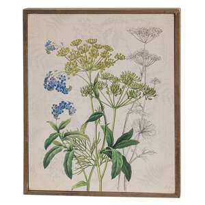 Forget-Me-Nots & Dill Botanical Box Sign 38256;