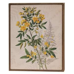 Yellow Anemone & Fern Botanical Box Sign 38258;