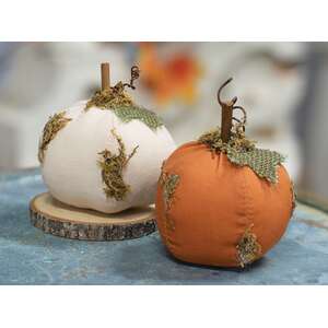 Mossy Stuffed Pumpkin 3.75", 2 Asstd.