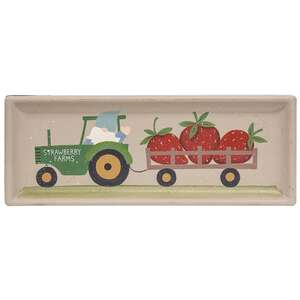 Farmer Gnome Trays, 2 Asstd.