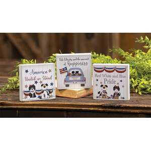 United We Stand Square Block, 3 Asstd.