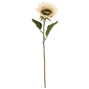Blooming Sunflower Stem, Champagne 18129;