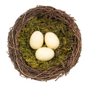 Vine & Moss Bird Nest w/Cream Eggs, 5.5" 18146;