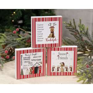 Snowy Friends Square Block, 3 Asstd.