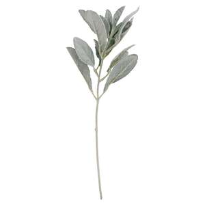 Frosted Lamb's Ear Pick 18198;