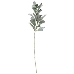 Frosted Lamb's Ear Spray 18199;